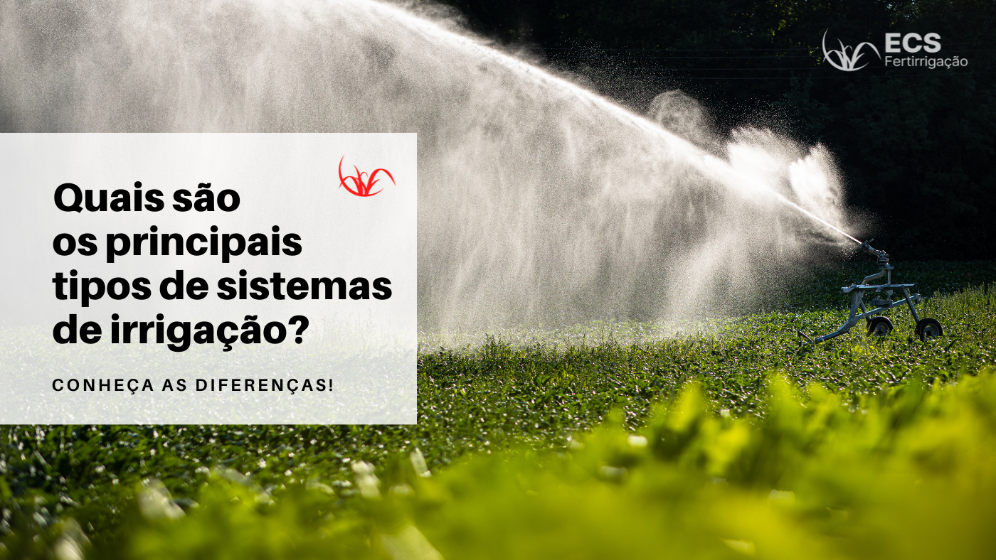 Quais são os Principais Tipos de Sistemas de Irrigação?