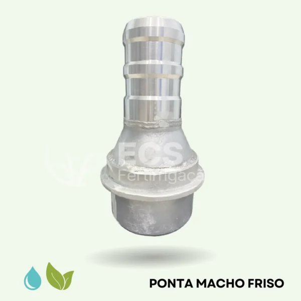 ponta macho friso